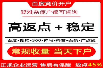 百度推广服务费案例：如何利用预算最大化效果